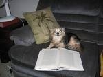 Magazine - Dog reading book